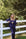Pleated Set in Navy