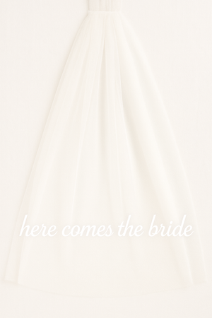 Here Comes The Bride Veil