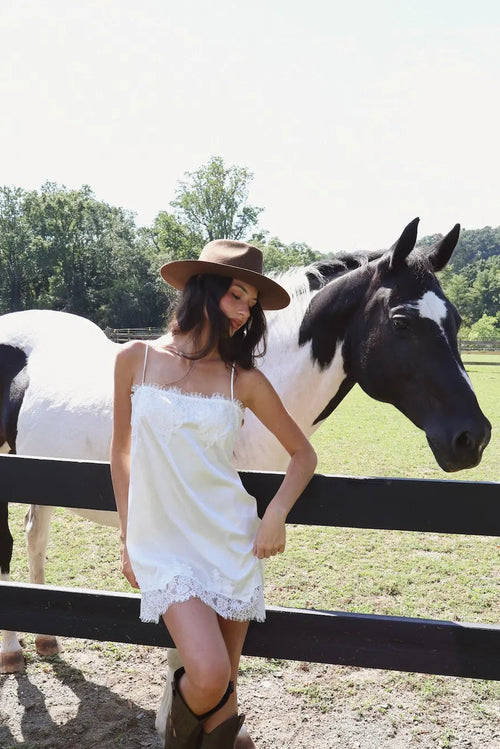 Palmer Mini Dress